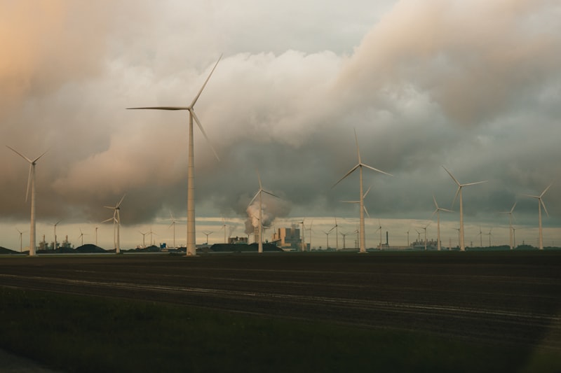 North Sea wind farms: the quiet powerhouses of the future